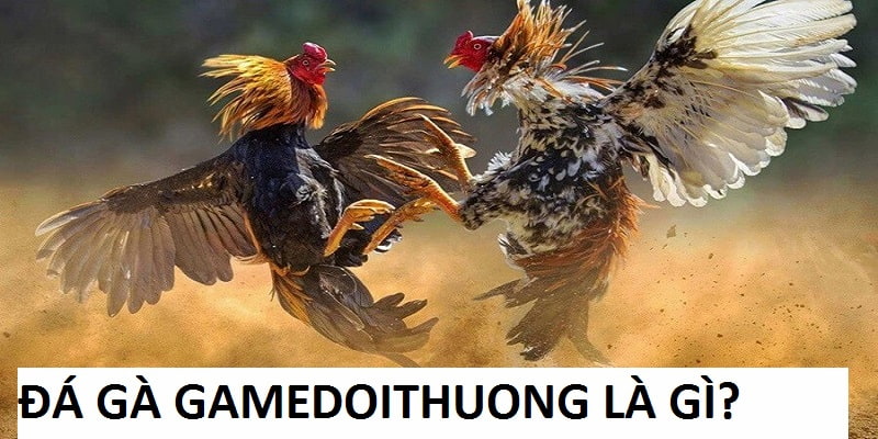 Đá Gà gamedoithuong là một dịch vụ giải trí tại sân chơi