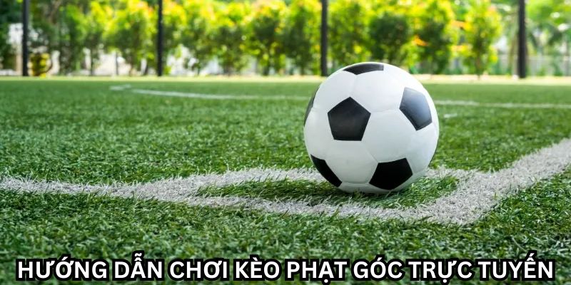 Cách soi kèo phạt góc trực tuyến chuẩn xác nhất cho mọi trận đấu