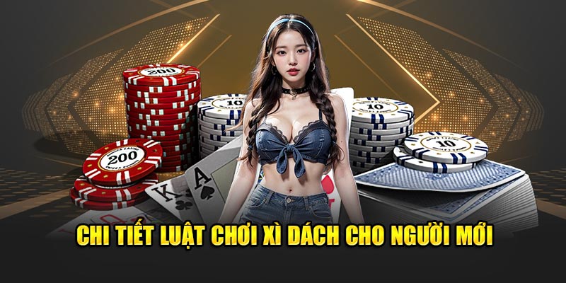 Chi tiết luật chơi xì dách cho người mới