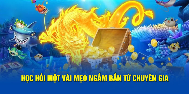 Học hỏi một vài mẹo ngắm bắn từ chuyên gia