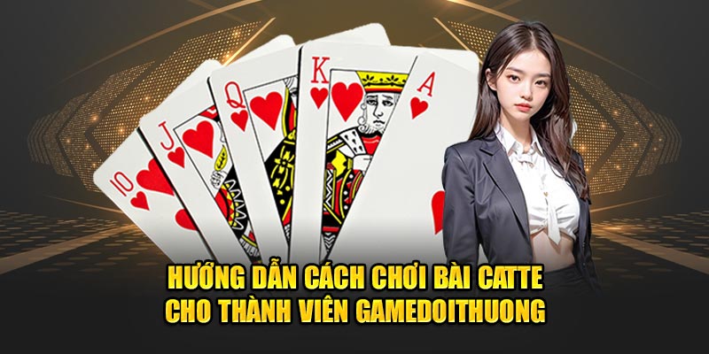 Hướng Dẫn Cách Chơi Bài Catte Cho Thành Viên Gamedoithuong