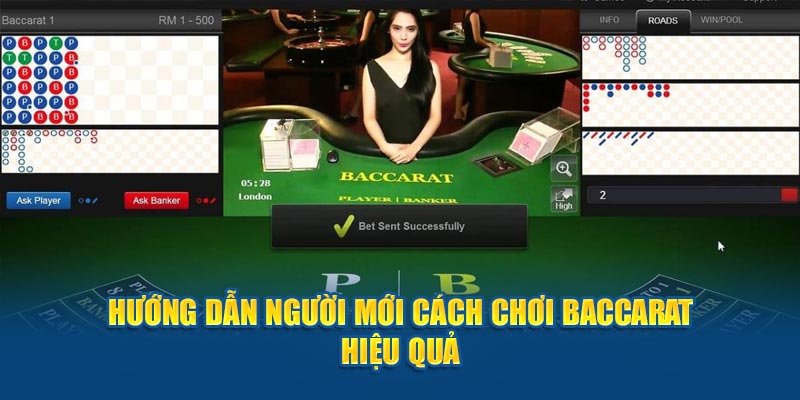 Hướng dẫn người mới cách chơi Baccarat hiệu quả