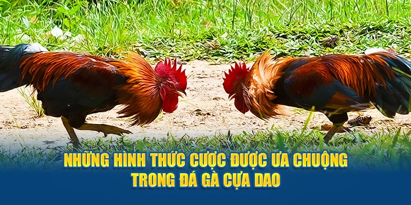 Những hình thức cược được ưa chuộng trong đá gà cựa dao 