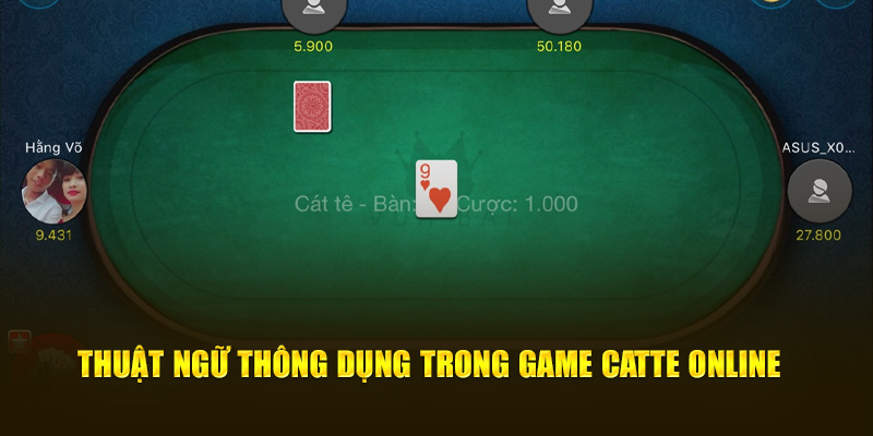 Thuật ngữ thông dụng trong game Catte online 